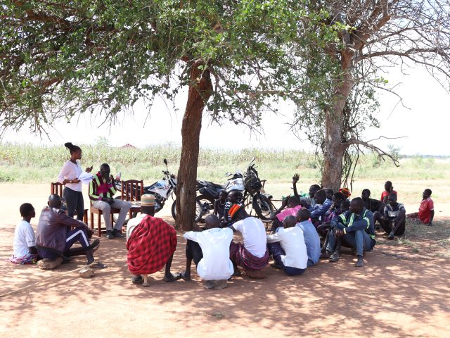Enhancing Environmental Governance through Disaster and Environment Structures (EEGDES)